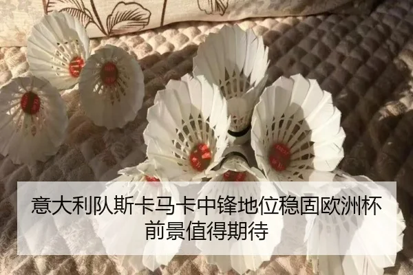意大利队斯卡马卡中锋地位稳固欧洲杯前景值得期待